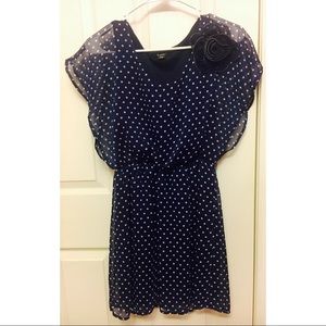 Petite Navy Blue Polka Dot Garden Dress